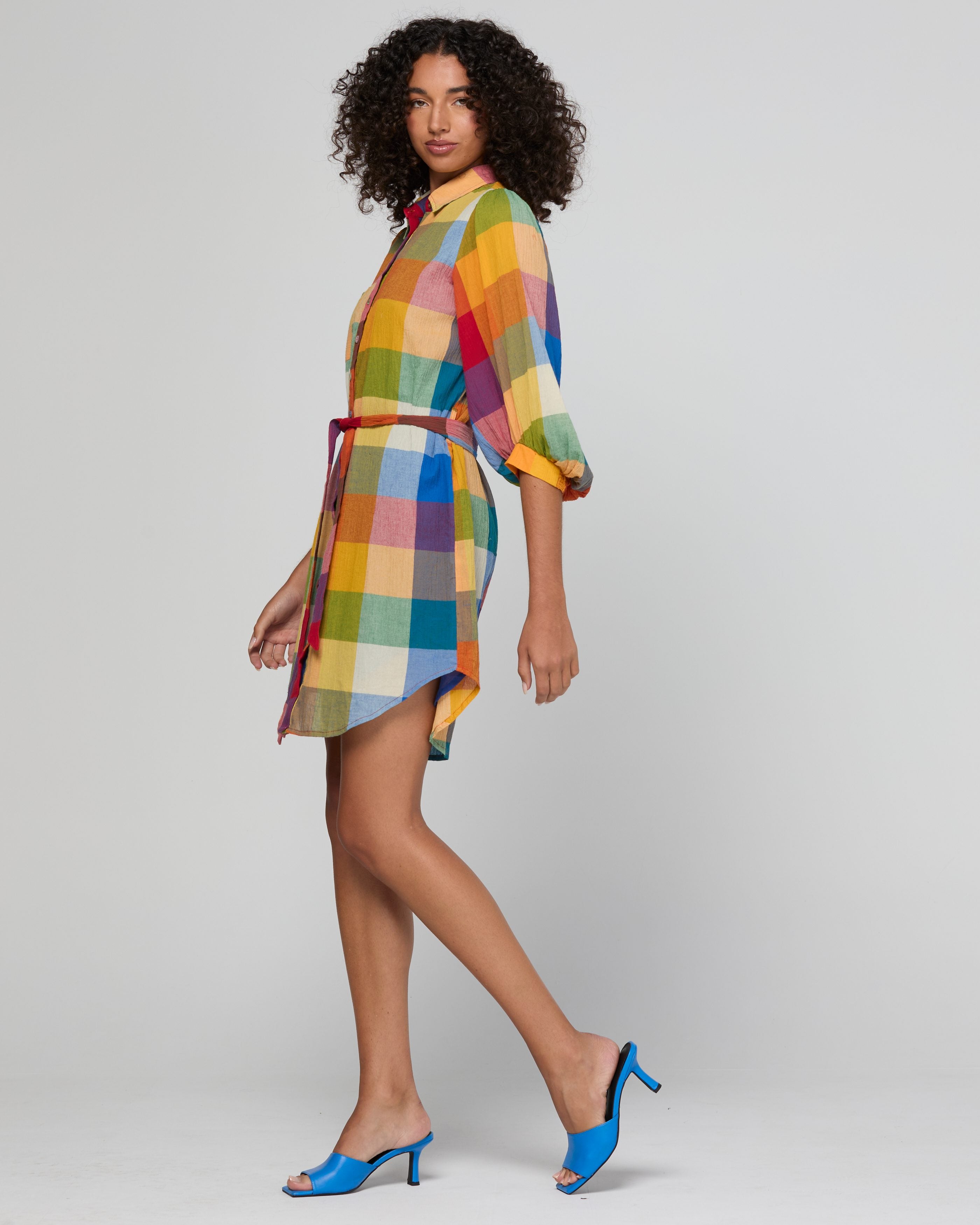 Pari Shirt Dress - Kingston Check